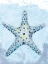 Picture of STAINED GLASS STARFISH