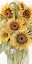 Picture of SUNFLOWERS BOUQUET JAR 2