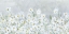 Picture of DAISIES