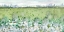 Picture of ABSTRACT WHITE FIELD 3