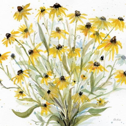 Picture of BLACKEYED SUSANS 1