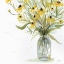 Picture of BLACKEYED SUSANS 2