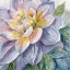 Picture of DAHLIA BLUE 3