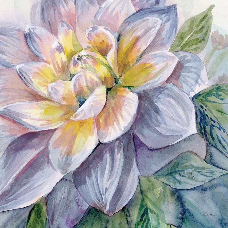 Picture of DAHLIA BLUE 3