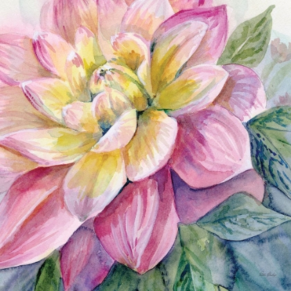 Picture of DAHLIA PINK 3