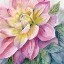 Picture of DAHLIA PINK 3