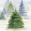 Picture of PINE TREES 5
