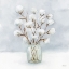 Picture of COTTON JAR