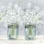 Picture of DAISIES IN JARS 3