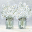 Picture of DAISIES IN JARS 4