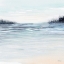 Picture of ISLAND BLUES 5