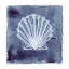 Picture of WHITE SHELL INDIGO 2
