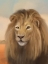 Picture of AFRICAN ANIMAL LION LANDSCAPE