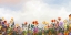 Picture of FLORAL SUPERBLOOM