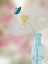 Picture of TASTY BLOSSOMS 1