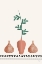 Picture of NONCONFORMING ARRANGEMENT 1