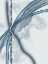 Picture of BOUND