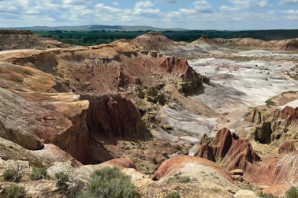 Picture of WILD WEST