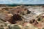 Picture of WILD WEST