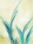 Picture of ABSTRACT BLUEGRASS 1