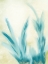 Picture of ABSTRACT BLUEGRASS 2