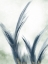 Picture of ABSTRACT BLUEGRASS