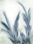 Picture of ABSTRACT BLUEGRASS 2