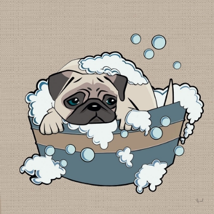 Picture of CLEAN CANINE
