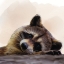 Picture of ENDEARING RACCOON 1