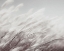 Picture of SOMETHING SOFT