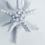 Picture of MIDNIGHT STARFISH