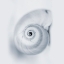 Picture of MIDNIGHT SNAIL