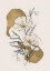 Picture of FLOWERS AND GOLD