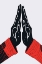 Picture of HIGH FIVE