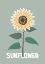 Picture of SUNFLOWER