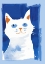 Picture of CAT IN BLUE