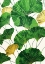 Picture of LEAVES OF GREEN