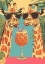 Picture of GIRAFFES SHARING A DRINK