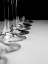 Picture of CHAMPAGNE FLUTES IN A ROW
