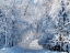 Picture of CHELSEA ROAD IN WINTER 2