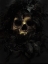 Picture of SKULL AND BOA