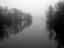 Picture of RIDEAU RIVER IN FOG