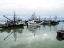 Picture of STEVESTON HARBOUR BC