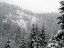 Picture of GATINEAU IN SNOW