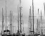 Picture of MARINA SAILBOAT MASTS