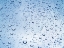 Picture of RAIN DEW ON WINDOW