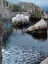 Picture of DUCKS AND AQUATIC BIRDS