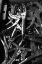 Picture of GROUP OF PLIERS 1