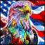 Picture of BALD EAGLE