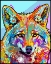 Picture of COYOTE
